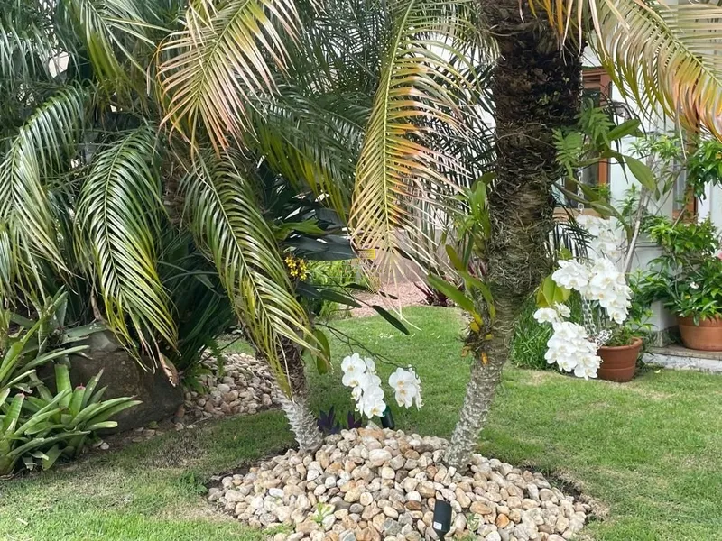 : 40ª foto da galeria de imagens do imóvel