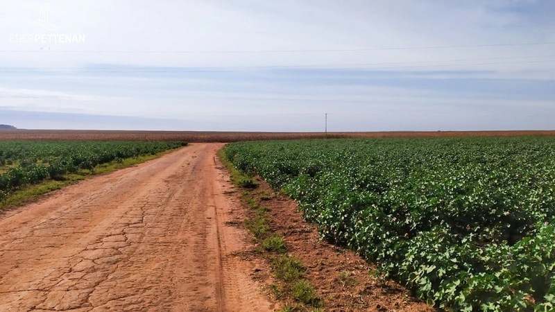 Fazenda de agricultura - 830 Hectares: 5ª foto da galeria de imagens do imóvel