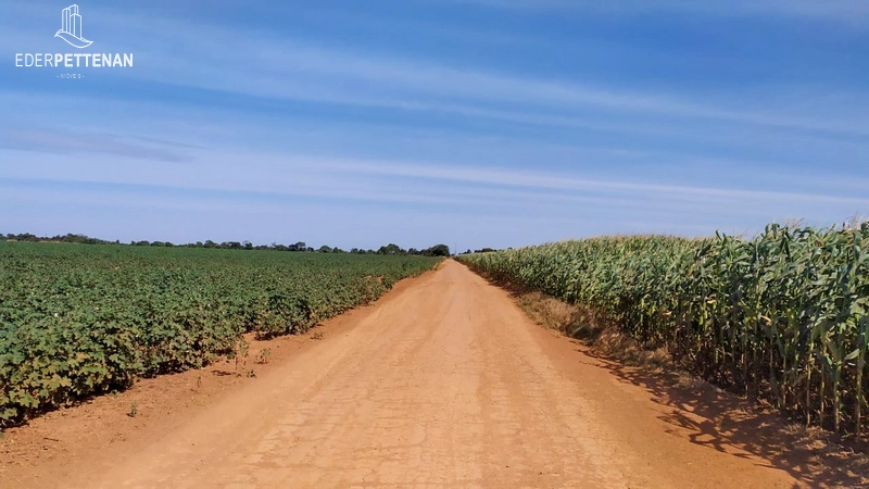 Fazenda de agricultura - 830 Hectares: 1ª foto da galeria de imagens do imóvel