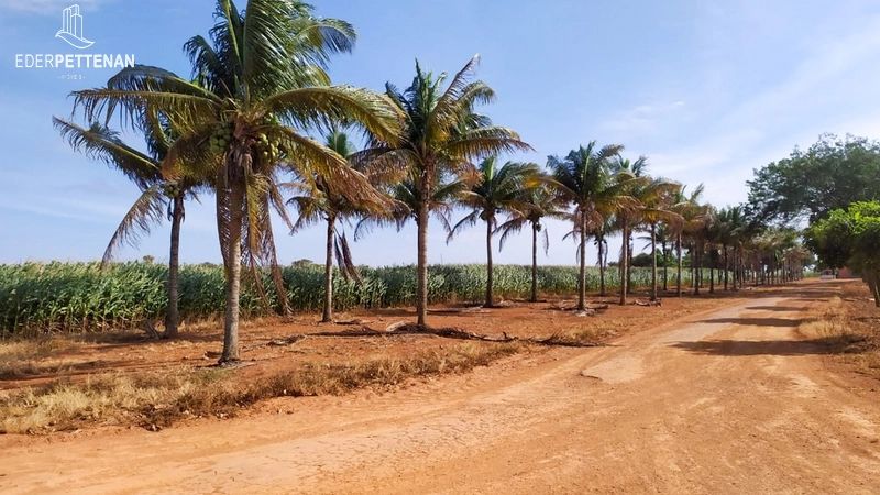Fazenda de agricultura - 830 Hectares: 9ª foto da galeria de imagens do imóvel