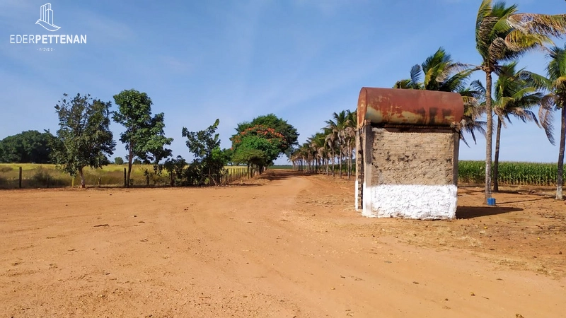Fazenda de agricultura - 830 Hectares: 16ª foto da galeria de imagens do imóvel