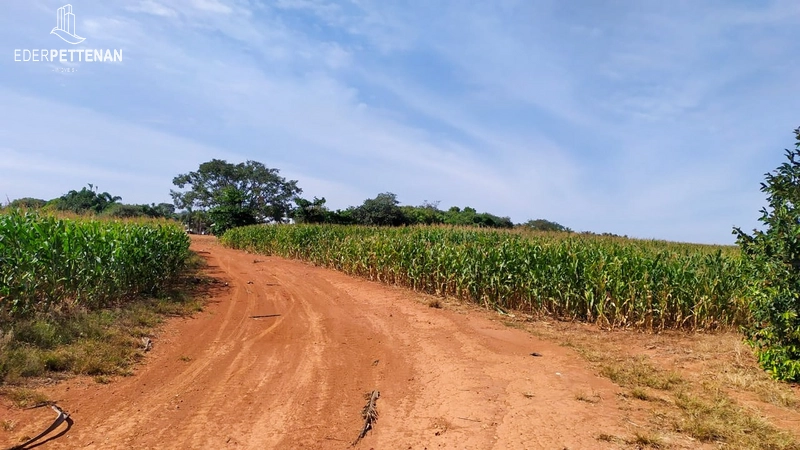 Fazenda de agricultura - 830 Hectares: 34ª foto da galeria de imagens do imóvel