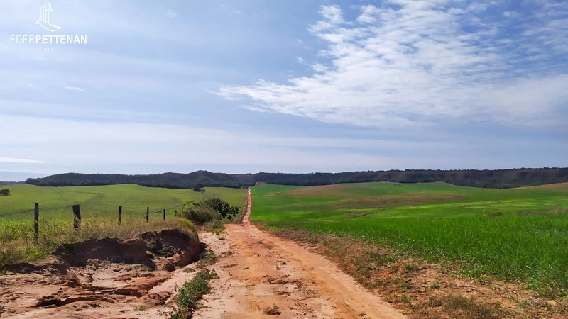 Fazenda de agricultura - 830 Hectares: 32ª foto da galeria de imagens do imóvel