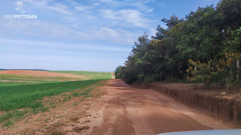 Fazenda de agricultura - 830 Hectares: 24ª foto da galeria de imagens do imóvel