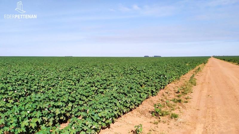 Fazenda de agricultura - 830 Hectares: 8ª foto da galeria de imagens do imóvel