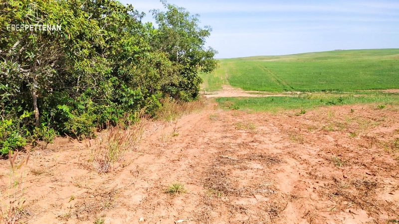 Fazenda de agricultura - 830 Hectares: 28ª foto da galeria de imagens do imóvel