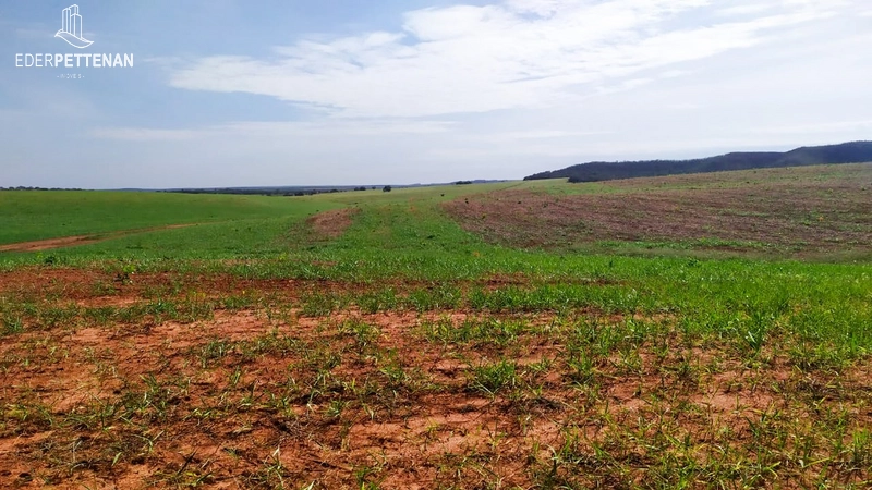 Fazenda de agricultura - 830 Hectares: 27ª foto da galeria de imagens do imóvel
