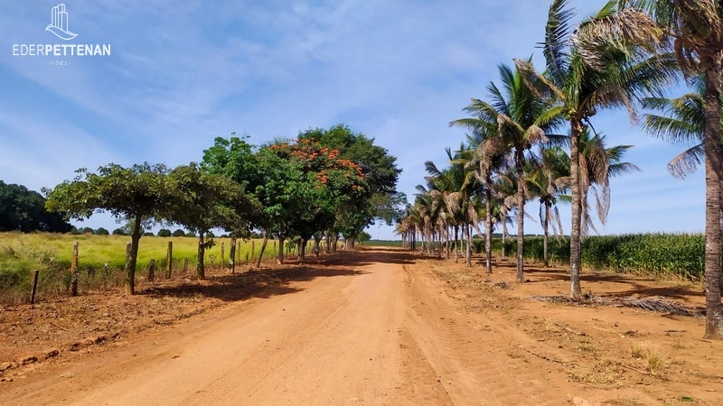 Fazenda de agricultura - 830 Hectares: 35ª foto da galeria de imagens do imóvel
