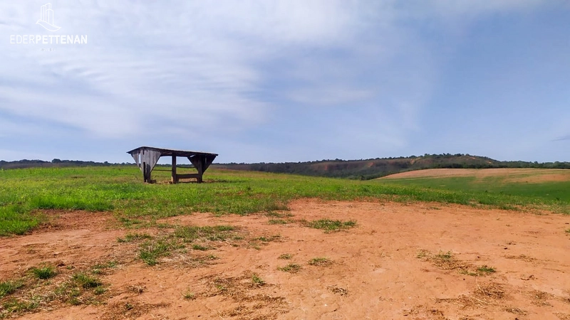 Fazenda de agricultura - 830 Hectares: 26ª foto da galeria de imagens do imóvel