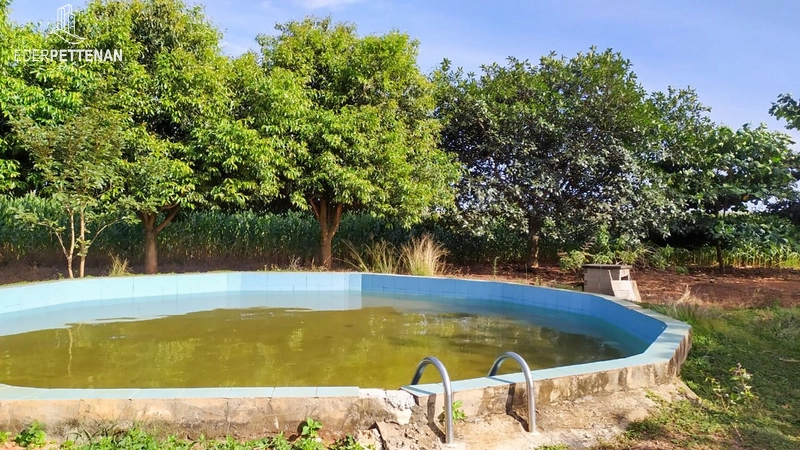 Fazenda de agricultura - 830 Hectares: 20ª foto da galeria de imagens do imóvel