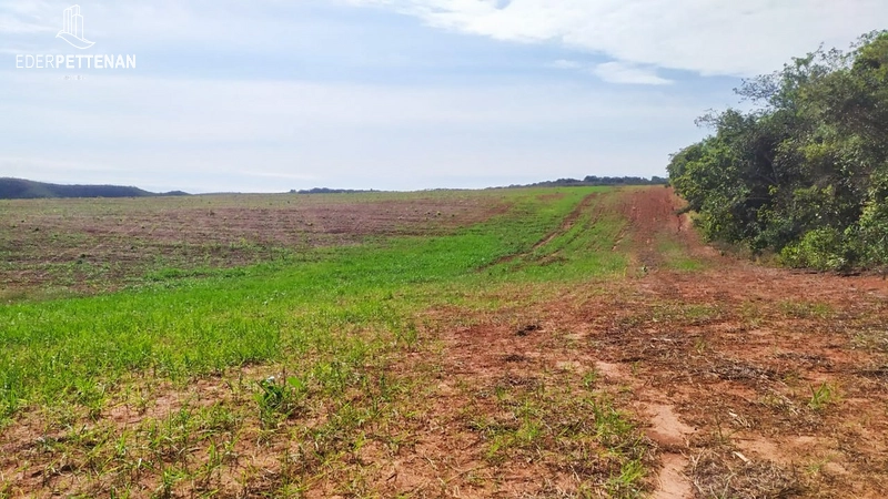 Fazenda de agricultura - 830 Hectares: 30ª foto da galeria de imagens do imóvel