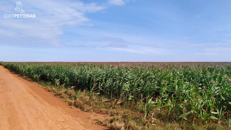 Fazenda de agricultura - 830 Hectares: 6ª foto da galeria de imagens do imóvel