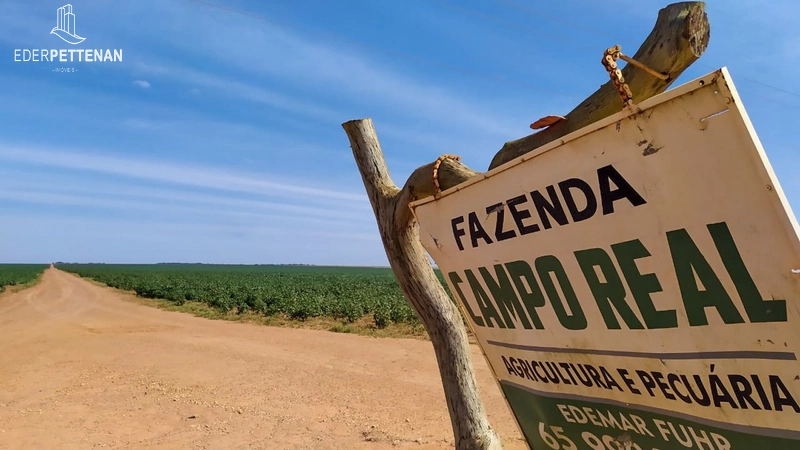 Fazenda de agricultura - 830 Hectares: 38ª foto da galeria de imagens do imóvel