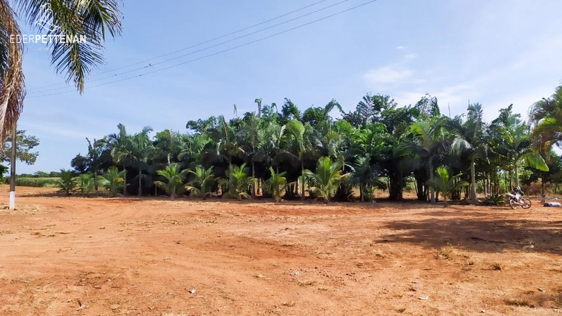 Fazenda de agricultura - 830 Hectares: 10ª foto da galeria de imagens do imóvel