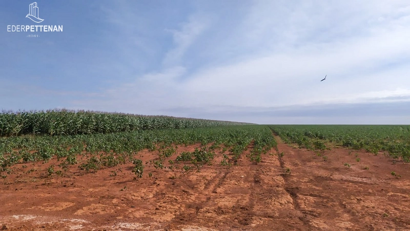 Fazenda de agricultura - 830 Hectares: 3ª foto da galeria de imagens do imóvel