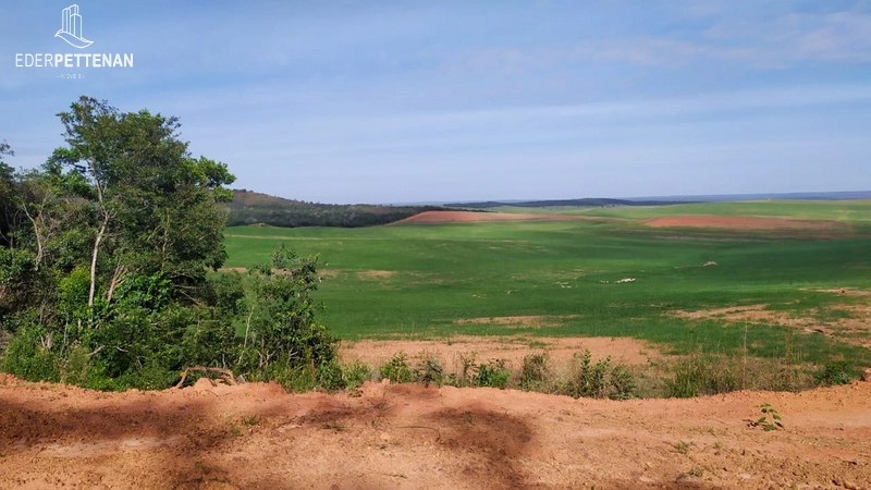 Fazenda de agricultura - 830 Hectares: 23ª foto da galeria de imagens do imóvel