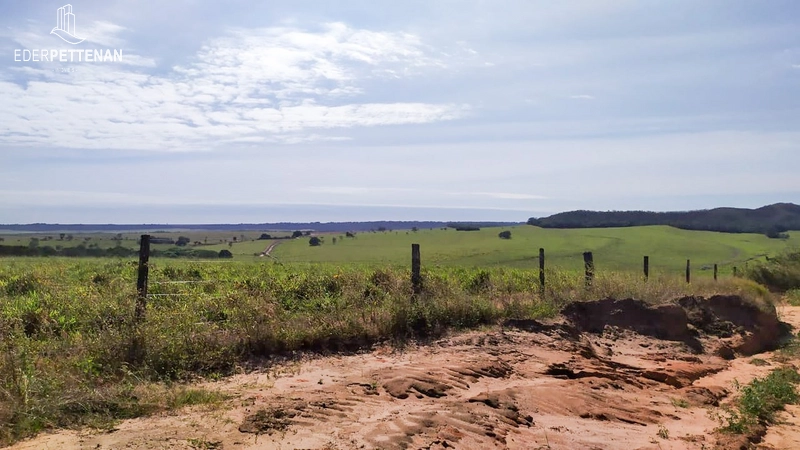 Fazenda de agricultura - 830 Hectares: 33ª foto da galeria de imagens do imóvel