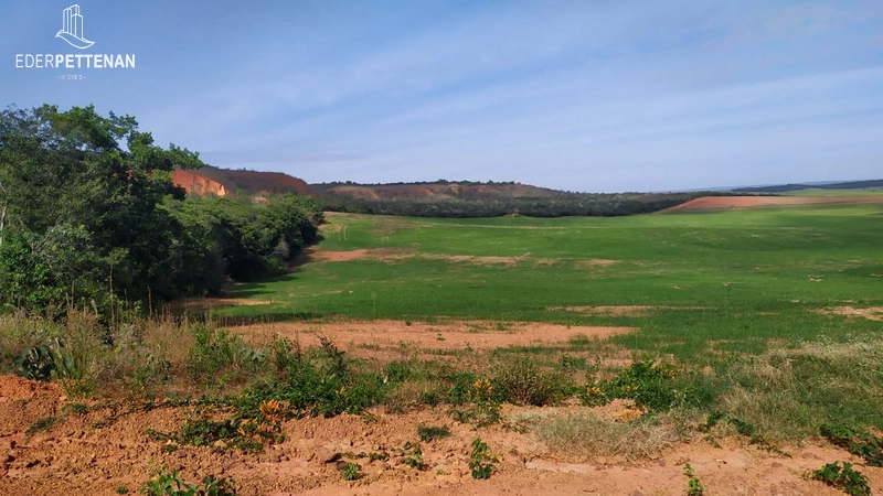 Fazenda de agricultura - 830 Hectares: 22ª foto da galeria de imagens do imóvel
