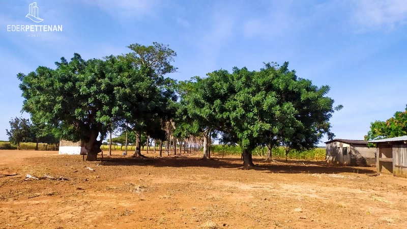 Fazenda de agricultura - 830 Hectares: 17ª foto da galeria de imagens do imóvel