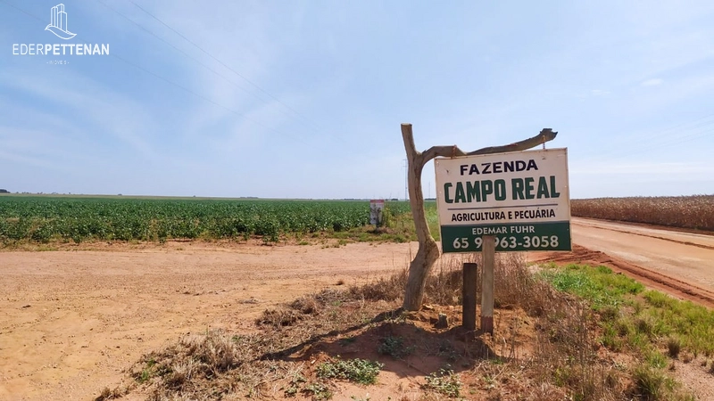 Fazenda de agricultura - 830 Hectares: 39ª foto da galeria de imagens do imóvel