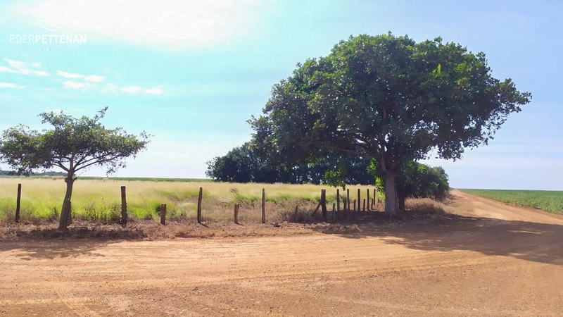 Fazenda de agricultura - 830 Hectares: 36ª foto da galeria de imagens do imóvel