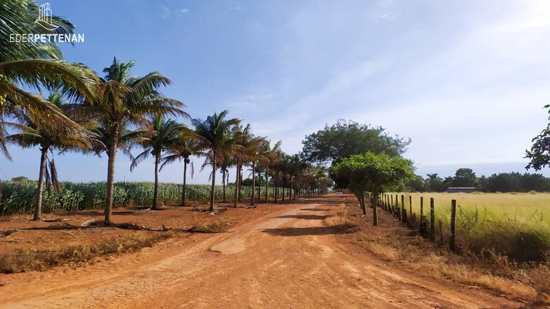 Fazenda de agricultura - 830 Hectares: 14ª foto da galeria de imagens do imóvel