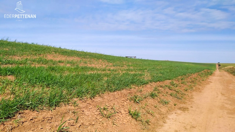 Fazenda de agricultura - 830 Hectares: 25ª foto da galeria de imagens do imóvel