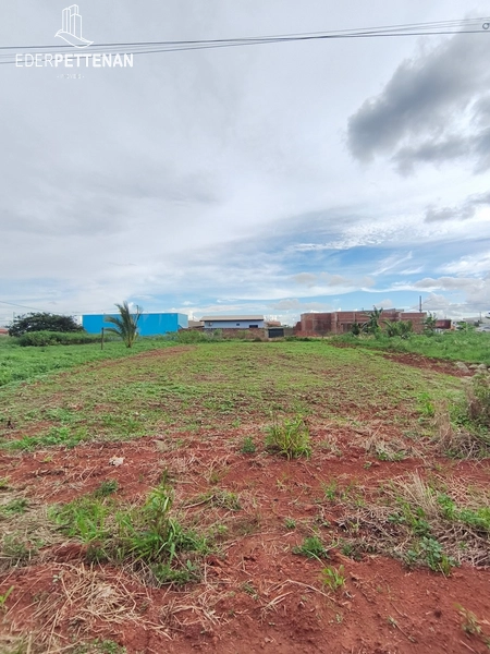 Terreno COMERCIAL - 12,5x30 - Jardima das Palmeiras