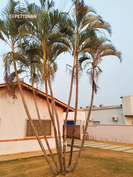 Casa a venda Campos de Júlio - Rodovia Comercial: 5ª foto da galeria de imagens do imóvel