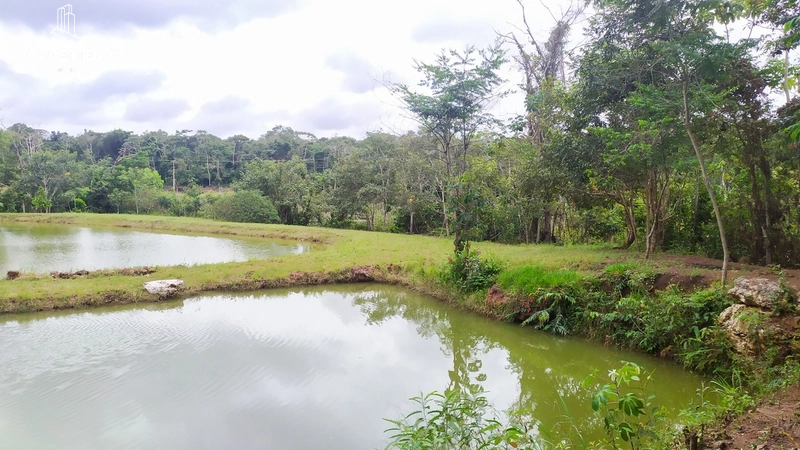 Chácara 2 hectáres - Campos de Júlio: 26ª foto da galeria de imagens do imóvel