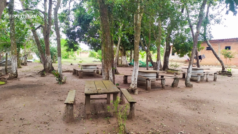 Chácara 2 hectáres - Campos de Júlio: 15ª foto da galeria de imagens do imóvel