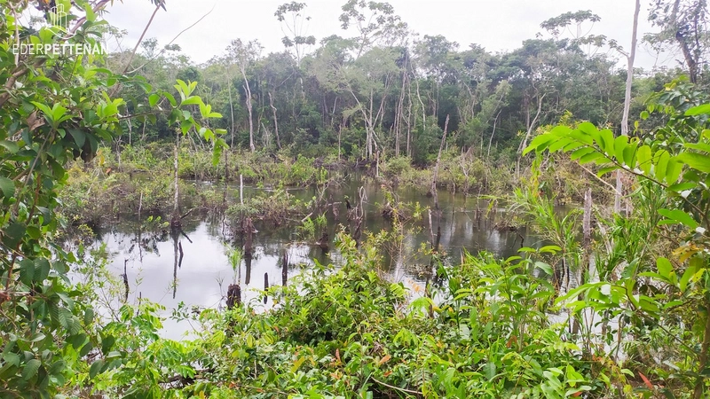 Chácara 2 hectáres - Campos de Júlio: 22ª foto da galeria de imagens do imóvel