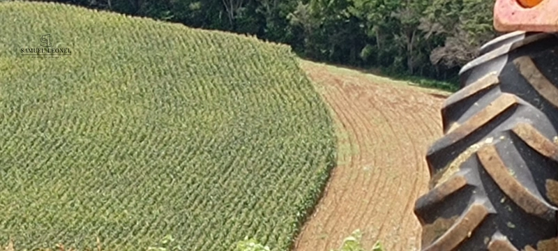 Fazenda à venda com 415h: 5ª foto da galeria de imagens do imóvel