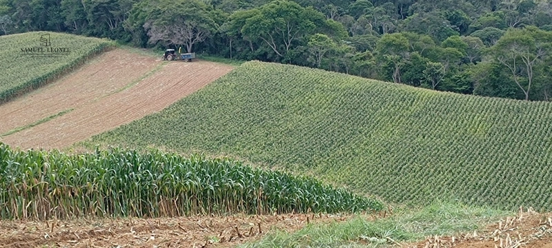 Fazenda à venda com 415h: 1ª foto da galeria de imagens do imóvel