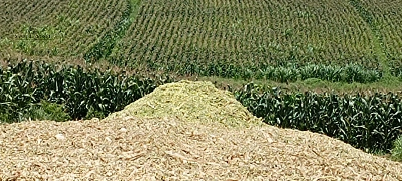 Fazenda à venda com 415h: 7ª foto da galeria de imagens do imóvel
