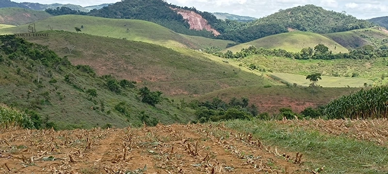 Fazenda à venda com 415h: 3ª foto da galeria de imagens do imóvel