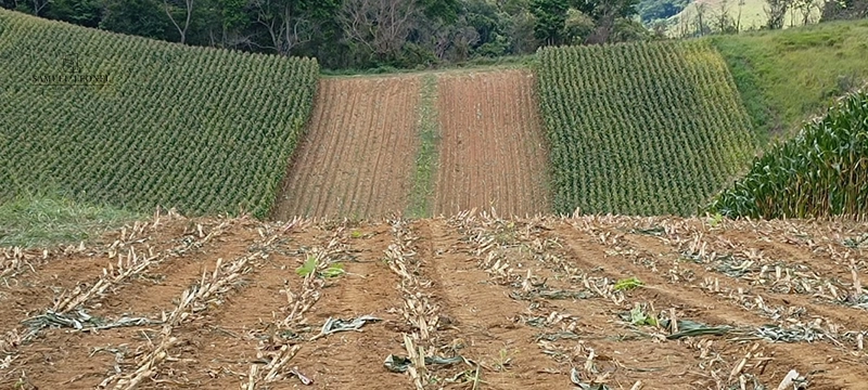 Fazenda à venda com 415h: 2ª foto da galeria de imagens do imóvel