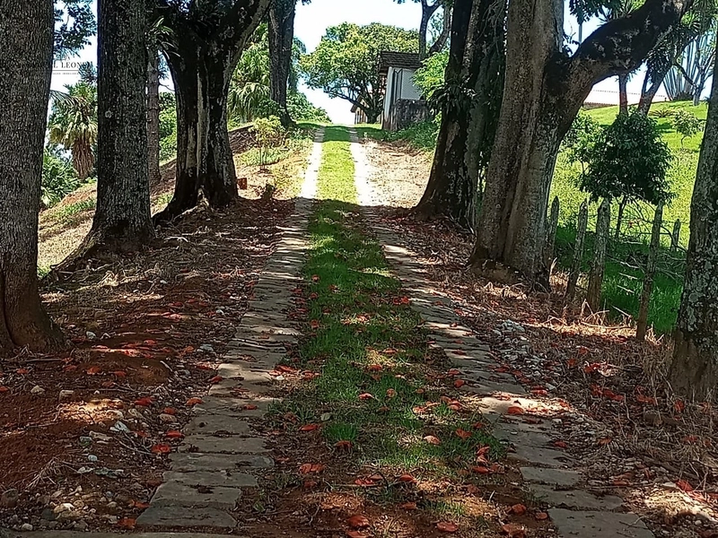 Fazenda à venda com 415h: 35ª foto da galeria de imagens do imóvel