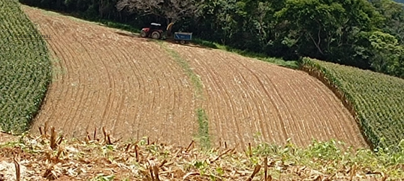 Fazenda à venda com 415h: 8ª foto da galeria de imagens do imóvel