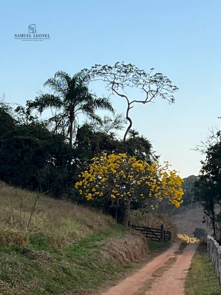 Fazenda à venda com 415h: 22ª foto da galeria de imagens do imóvel