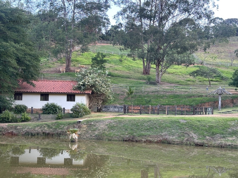 Fazenda à venda com benfeitorias próxima a Santana do Deserto: 40ª foto da galeria de imagens do imóvel