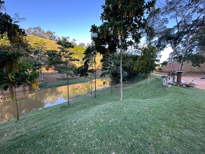 Fazenda à venda com benfeitorias próxima a Santana do Deserto: 45ª foto da galeria de imagens do imóvel