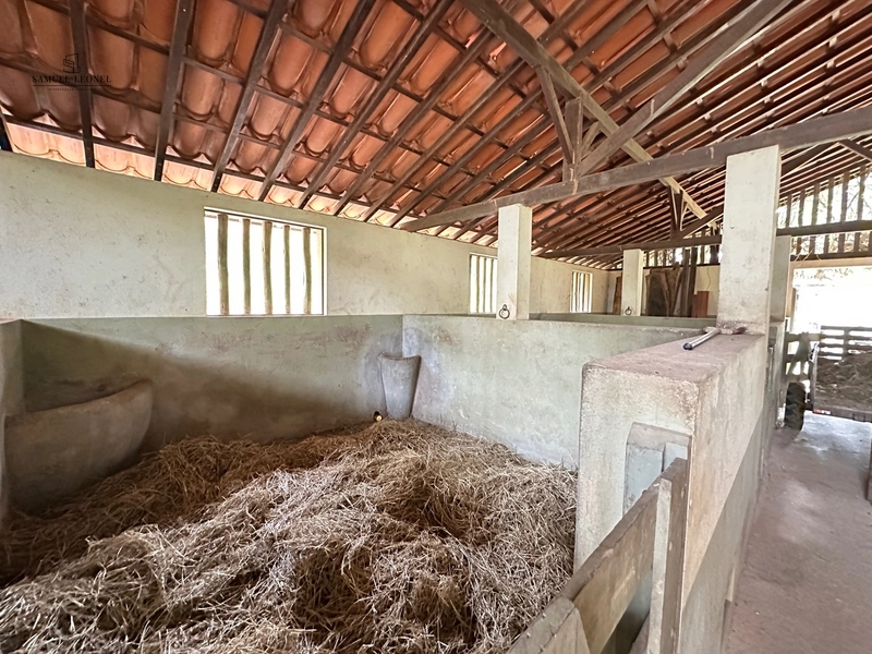 Fazenda à venda com benfeitorias próxima a Santana do Deserto: 58ª foto da galeria de imagens do imóvel