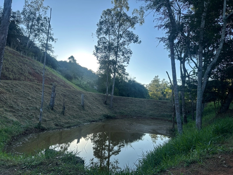 Fazenda à venda com benfeitorias próxima a Santana do Deserto: 46ª foto da galeria de imagens do imóvel