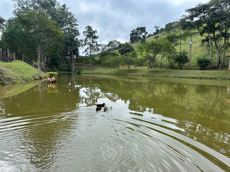 Fazenda à venda com benfeitorias próxima a Santana do Deserto: 50ª foto da galeria de imagens do imóvel