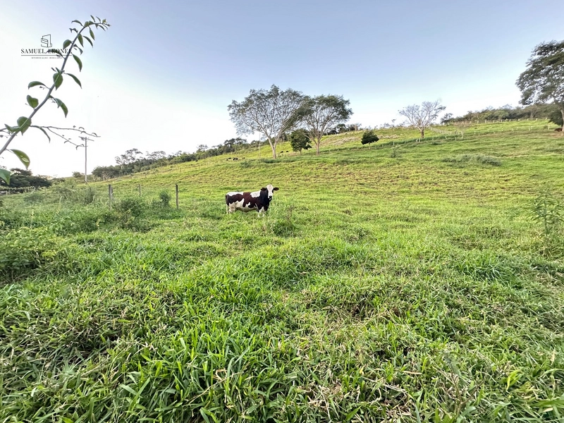Fazenda à venda com benfeitorias próxima a Santana do Deserto: 30ª foto da galeria de imagens do imóvel