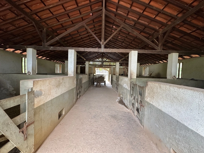 Fazenda à venda com benfeitorias próxima a Santana do Deserto: 59ª foto da galeria de imagens do imóvel