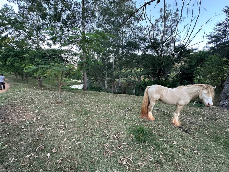Fazenda à venda com benfeitorias próxima a Santana do Deserto: 31ª foto da galeria de imagens do imóvel