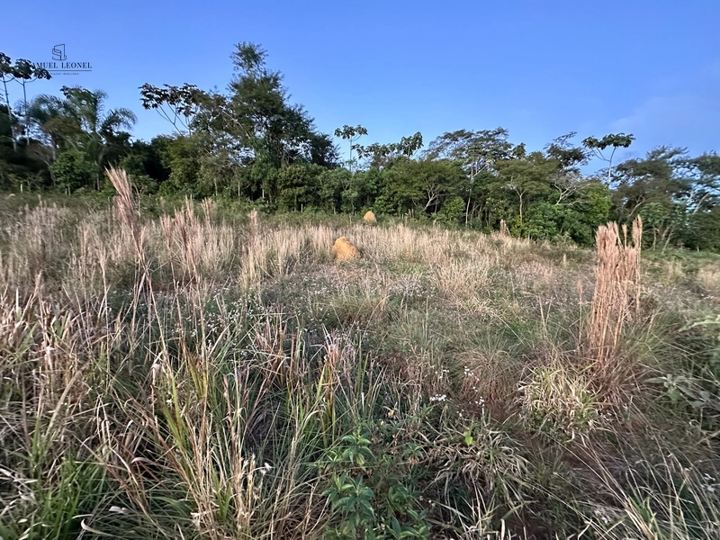 Lote a venda de 1500m2 em condomínio fechado: 7ª foto da galeria de imagens do imóvel