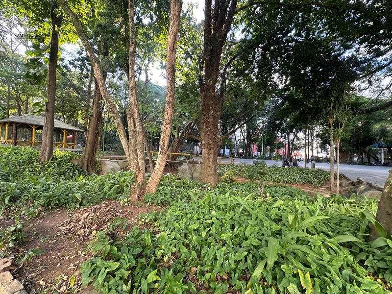 Apartamento de três quartos um suíte uma vaga no centro de JF a venda: 22ª foto da galeria de imagens do imóvel